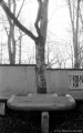 Caged_Tree_Leipzig_Johannispark_Winter01 (c) by Stephan Menzel
Created with The GIMP